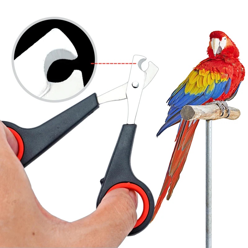 12cm Haustier-Nagelschere für  – Grooming Scissors Bewertung und Preis